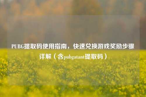 PUBG提取码使用指南,快速兑换游戏奖励步骤详解(含pubgatant提取码)