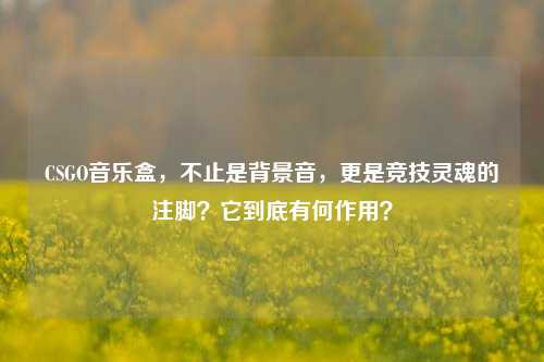 CSGO音乐盒,不止是背景音,更是竞技灵魂的注脚?它到底有何作用?