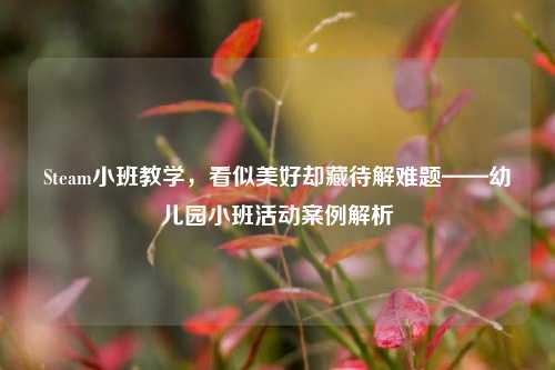 Steam小班教学,看似美好却藏待解难题——幼儿园小班活动案例解析