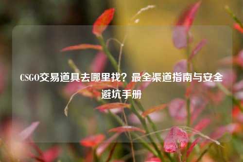 CSGO交易道具去哪里找?最全渠道指南与安全避坑手册