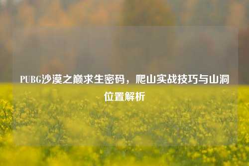 PUBG沙漠之巅求生密码，爬山实战技巧与山洞位置解析