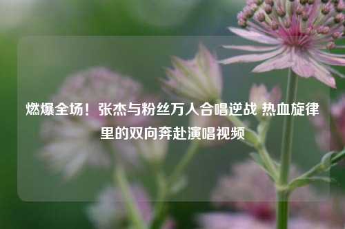 燃爆全场！张杰与粉丝万人合唱逆战 热血旋律里的双向奔赴演唱视频