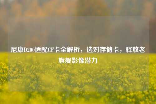 尼康D200适配CF卡全解析,选对存储卡,释放老旗舰影像潜力