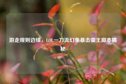 游走规则边缘,LOL一刀流幻象暴击蛮王脚本揭秘