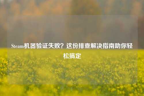 Steam机器验证失败?这份排查解决指南助你轻松搞定
