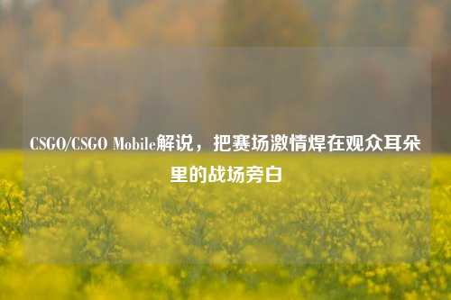 CSGO/CSGO Mobile解说,把赛场***焊在观众耳朵里的战场旁白
