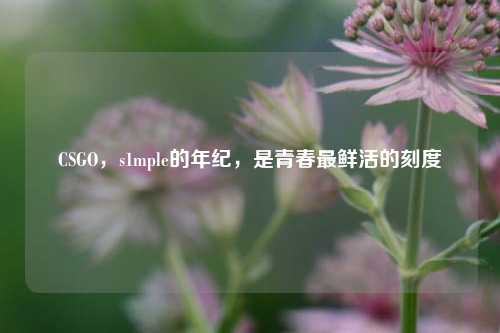 CSGO，s1mple的年纪，是青春最鲜活的刻度