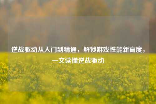 逆战驱动从入门到精通,解锁游戏性能新高度,一文读懂逆战驱动