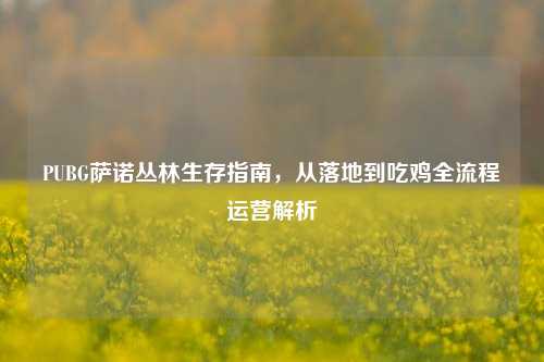 PUBG萨诺丛林生存指南,从落地到吃鸡全流程运营解析
