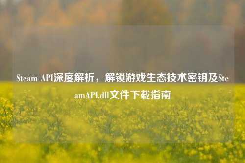 Steam API深度解析,解锁游戏生态技术密钥及SteamAPI.dll文件下载指南