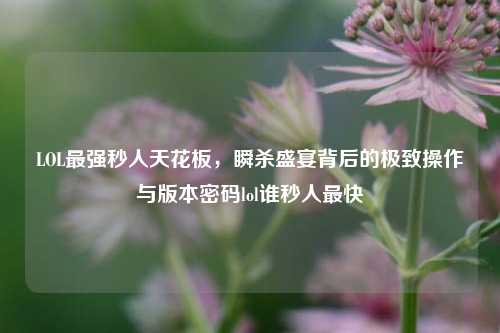LOL最强秒人天花板,瞬杀盛宴背后的极致操作与版本密码lol谁秒人最快