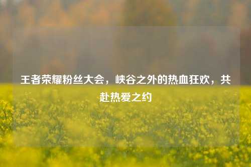 王者荣耀粉丝大会,峡谷之外的热血狂欢,共赴热爱之约