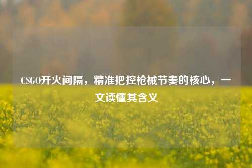 CSGO开火间隔,精准把控枪械节奏的核心,一文读懂其含义