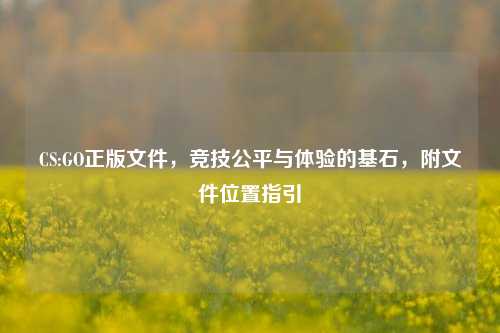CS:GO正版文件,竞技公平与体验的基石,附文件位置指引