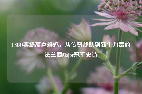 CSGO赛场高卢雄鸡,从传奇战队到新生力量的法兰西Major冠军史诗