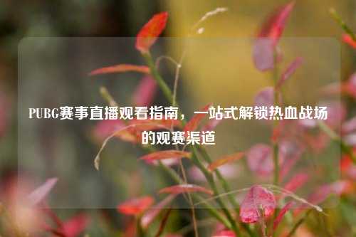 PUBG赛事直播观看指南,一站式解锁热血战场的观赛渠道