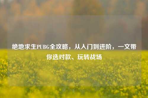 绝地求生PUBG全攻略，从入门到进阶，一文带你选对款、玩转战场