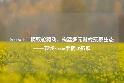 Steam+二柄双轮驱动,构建多元游戏玩家生态——兼谈Steam手柄2P拓展