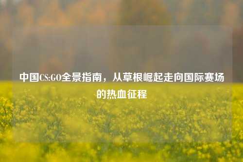 中国CS:GO全景指南,从草根崛起走向国际赛场的热血征程