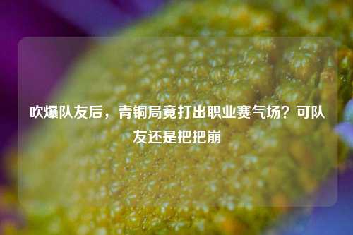 吹爆队友后,青铜局竟打出职业赛气场?可队友还是把把崩