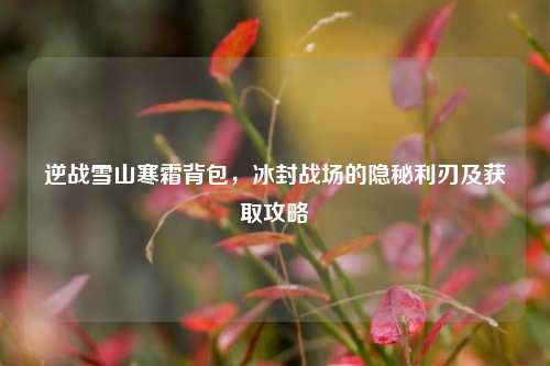 逆战雪山寒霜背包,冰封战场的隐秘利刃及获取攻略