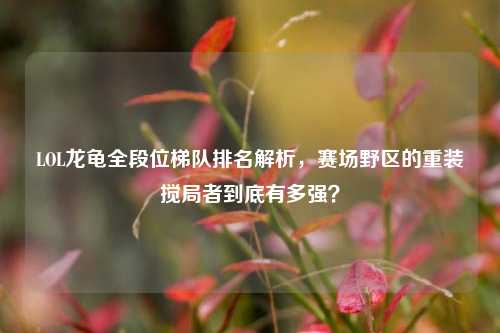LOL龙龟全段位梯队排名解析,赛场野区的重装搅局者到底有多强?