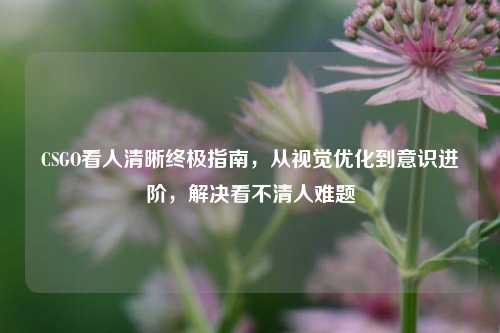 CSGO看人清晰终极指南,从视觉优化到意识进阶,解决看不清人难题