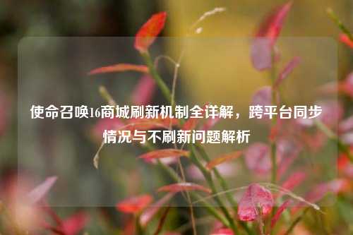 使命召唤16商城刷新机制全详解,跨平台同步情况与不刷新问题解析