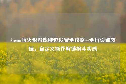 Steam版火影游戏键位设置全攻略+全屏设置教程,自定义操作解锁格斗爽感