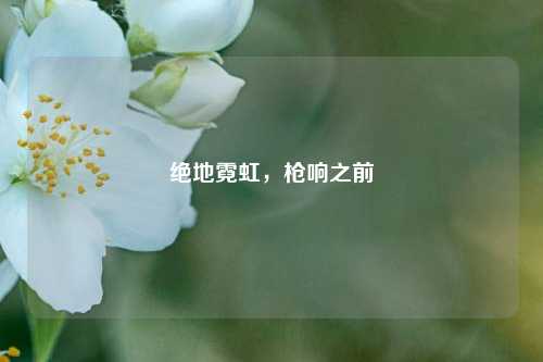 绝地霓虹,枪响之前