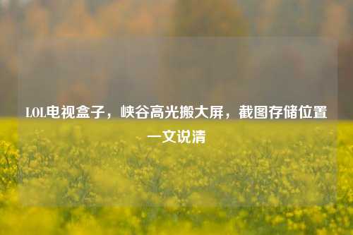 LOL电视盒子,峡谷高光搬大屏,截图存储位置一文说清