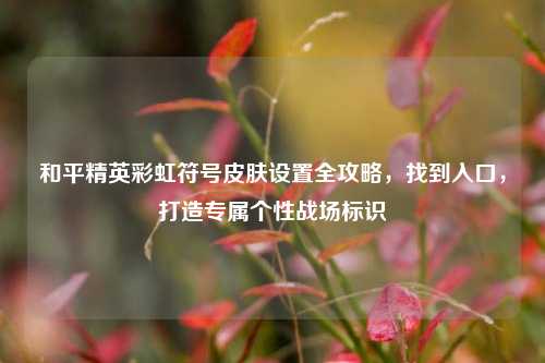 和平精英彩虹符号皮肤设置全攻略,找到入口,打造专属个性战场标识