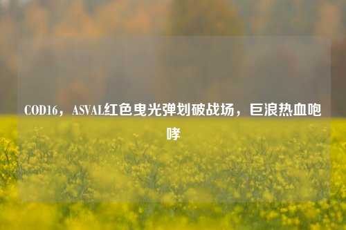 COD16，ASVAL红色曳光弹划破战场，巨浪热血咆哮