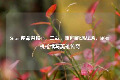 Steam使命召唤14,二战,重回硝烟战场,MG81机枪续写英雄传奇