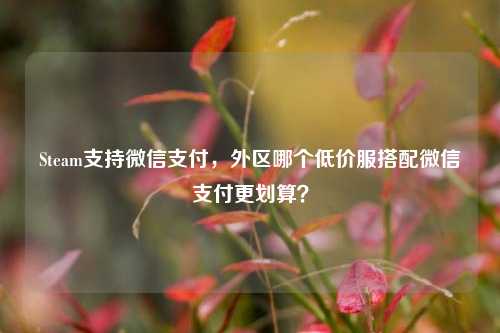 Steam支持微信支付,外区哪个低价服搭配微信支付更划算?