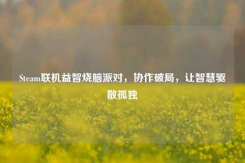 Steam联机益智烧脑派对,协作破局,让智慧驱散孤独