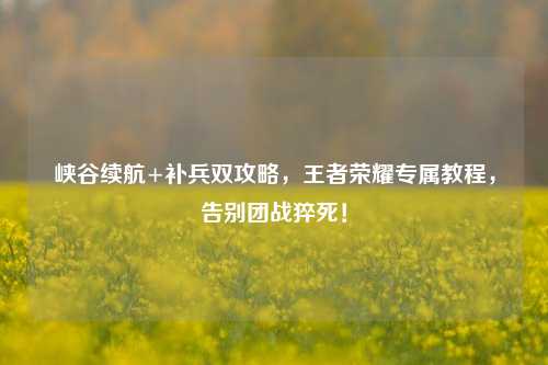 峡谷续航+补兵双攻略,王者荣耀专属教程,告别团战猝死!