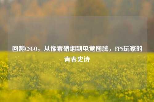 回溯CSGO，从像素硝烟到电竞图腾，FPS玩家的青春史诗