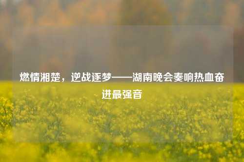 燃情湘楚,逆战逐梦——湖南晚会奏响热血奋进最强音