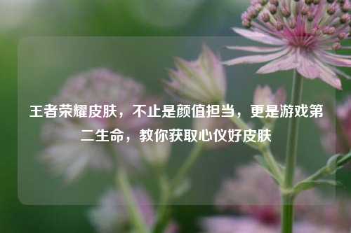 王者荣耀皮肤,不止是颜值担当,更是游戏第二生命,教你获取心仪好皮肤