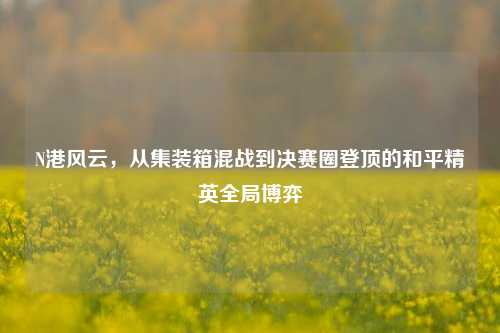 N港风云,从集装箱混战到决赛圈登顶的和平精英全局博弈