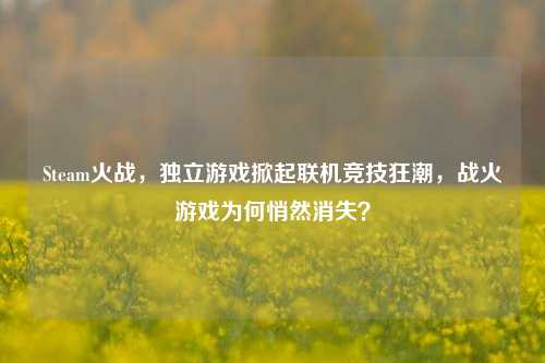 Steam火战,独立游戏掀起联机竞技狂潮,战火游戏为何悄然消失?