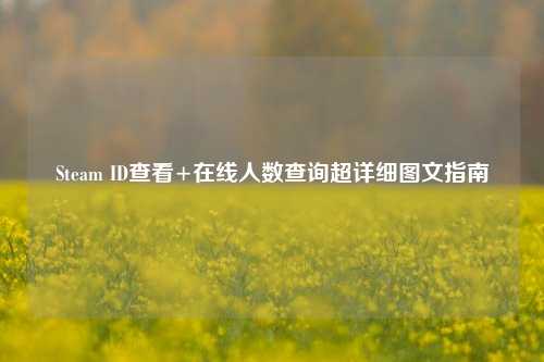 Steam ID查看+在线人数查询超详细图文指南
