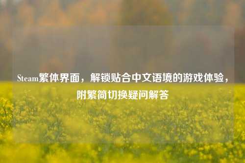 Steam繁体界面,解锁贴合中文语境的游戏体验,附繁简切换疑问解答