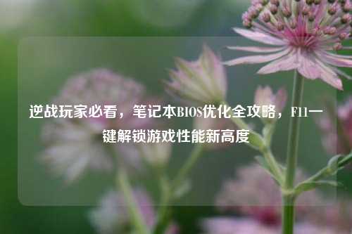 逆战玩家必看,笔记本BIOS优化全攻略,F11一键解锁游戏性能新高度