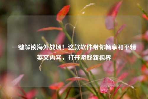 一键解锁海外战场!这款软件带你畅享和平精英文内容,打开游戏新视界