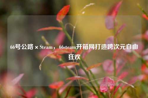 66号公路×Steam,66steam开箱网打造跨次元自由狂欢