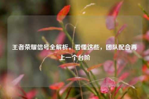 王者荣耀信号全解析,看懂这些,团队配合再上一个台阶