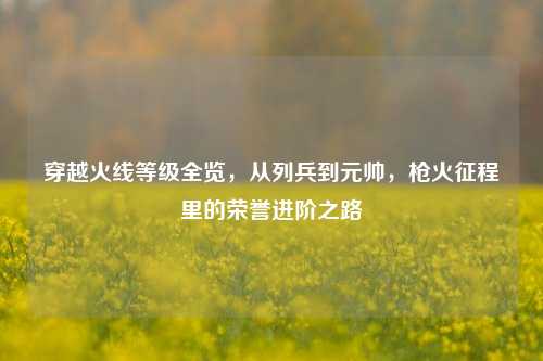 穿越火线等级全览,从列兵到元帅,枪火征程里的荣誉进阶之路