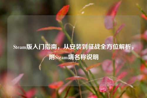 Steam版入门指南,从安装到征战全方位解析,附Steam端名称说明